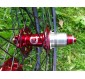 Ryde Xc 29er + RCT hubs + Radios Sapim, desde 1395grs.